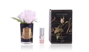 COTE NOIRE ROSE BUD - BLACK - FRENCH PINK