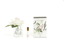 Load image into Gallery viewer, COTE NOIRE SINGLE ROSE - CLEAR - PINK BLUSH