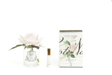 Load image into Gallery viewer, COTE NOIRE SINGLE ROSE - CLEAR - FRENCH PINK
