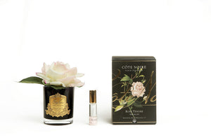 COTE NOIRE SINGLE ROSE - BLACK - PINK BLUSH